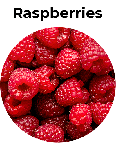 Home - Circulo 03 Raspberries