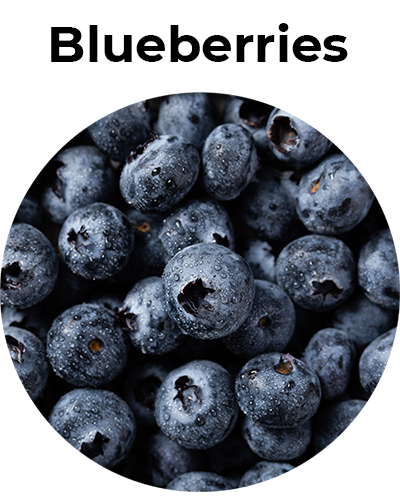 Home - Circulo 04 Blueberries